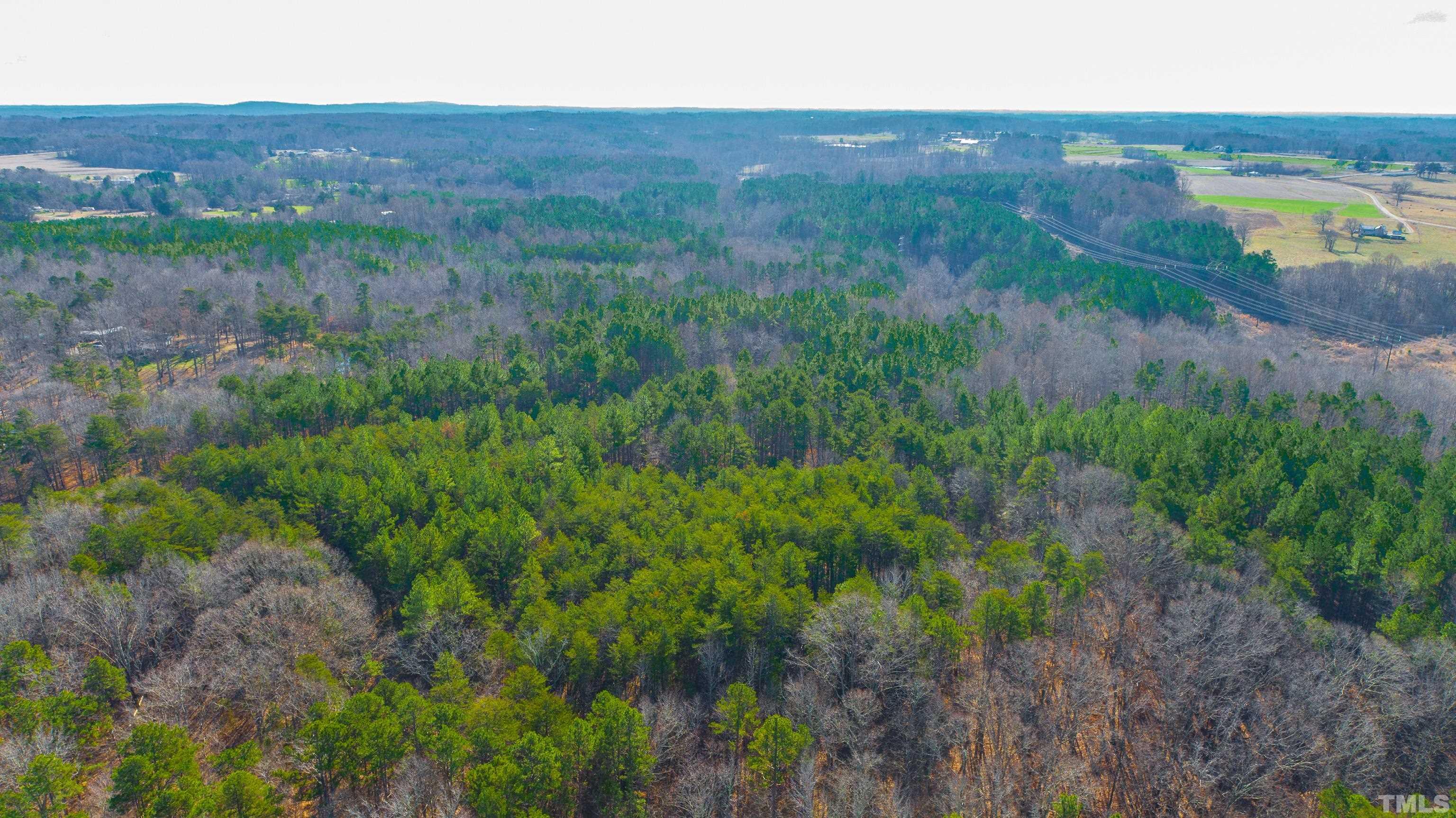 1.95-acre Archie Clayton Road Roxboro, NC 27574 - Photo 6 of 21 a view of a lush green field with lots of bushes