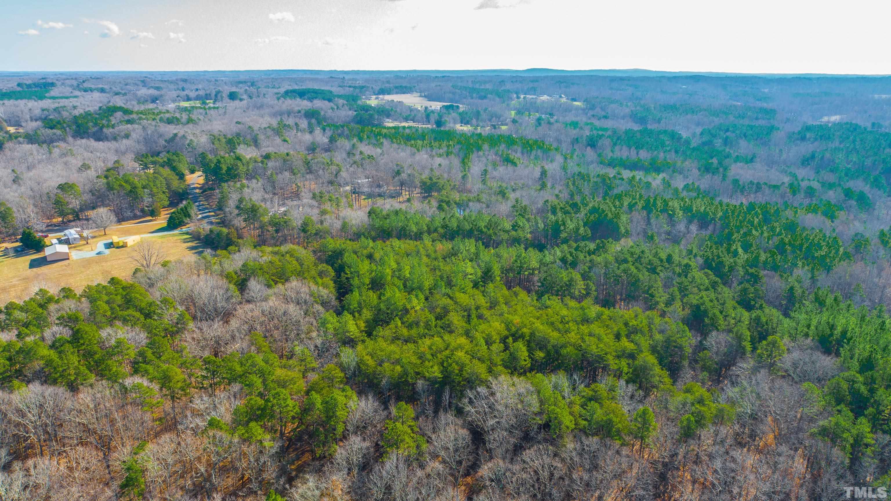 1.95-acre Archie Clayton Road Roxboro, NC 27574 - Photo 7 of 21 a view of a lush green field with lots of bushes