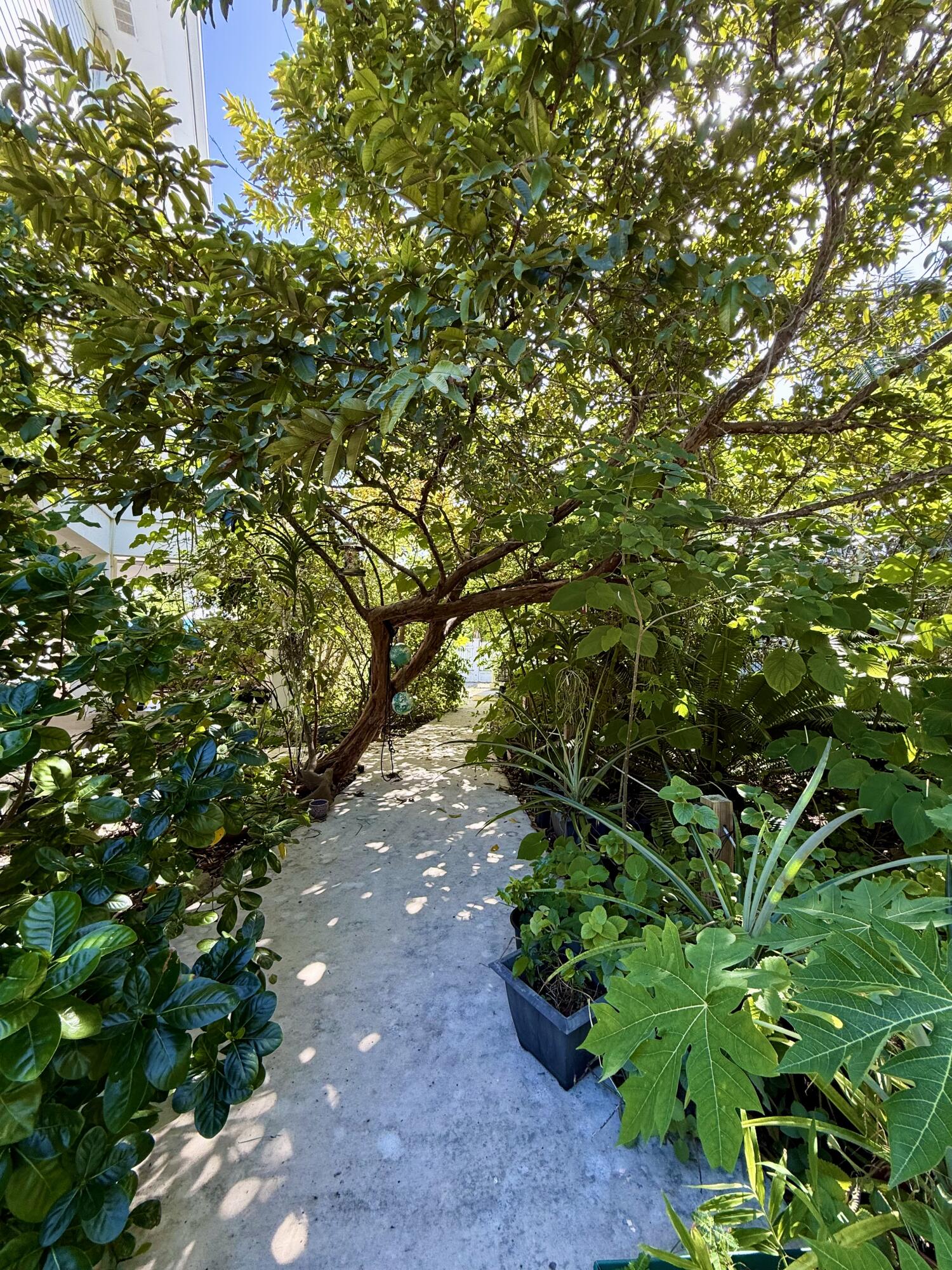 125 Colson Drive Cudjoe, FL 33042 - Photo 37 of 69 IMG_1379