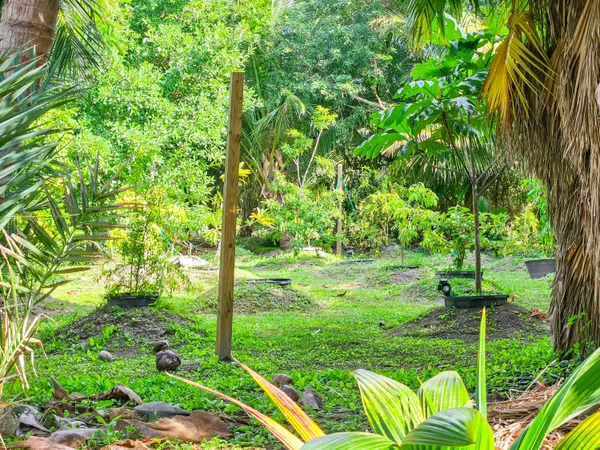 $2,195,000 | 125 Colson Drive, Cudjoe, FL 33042