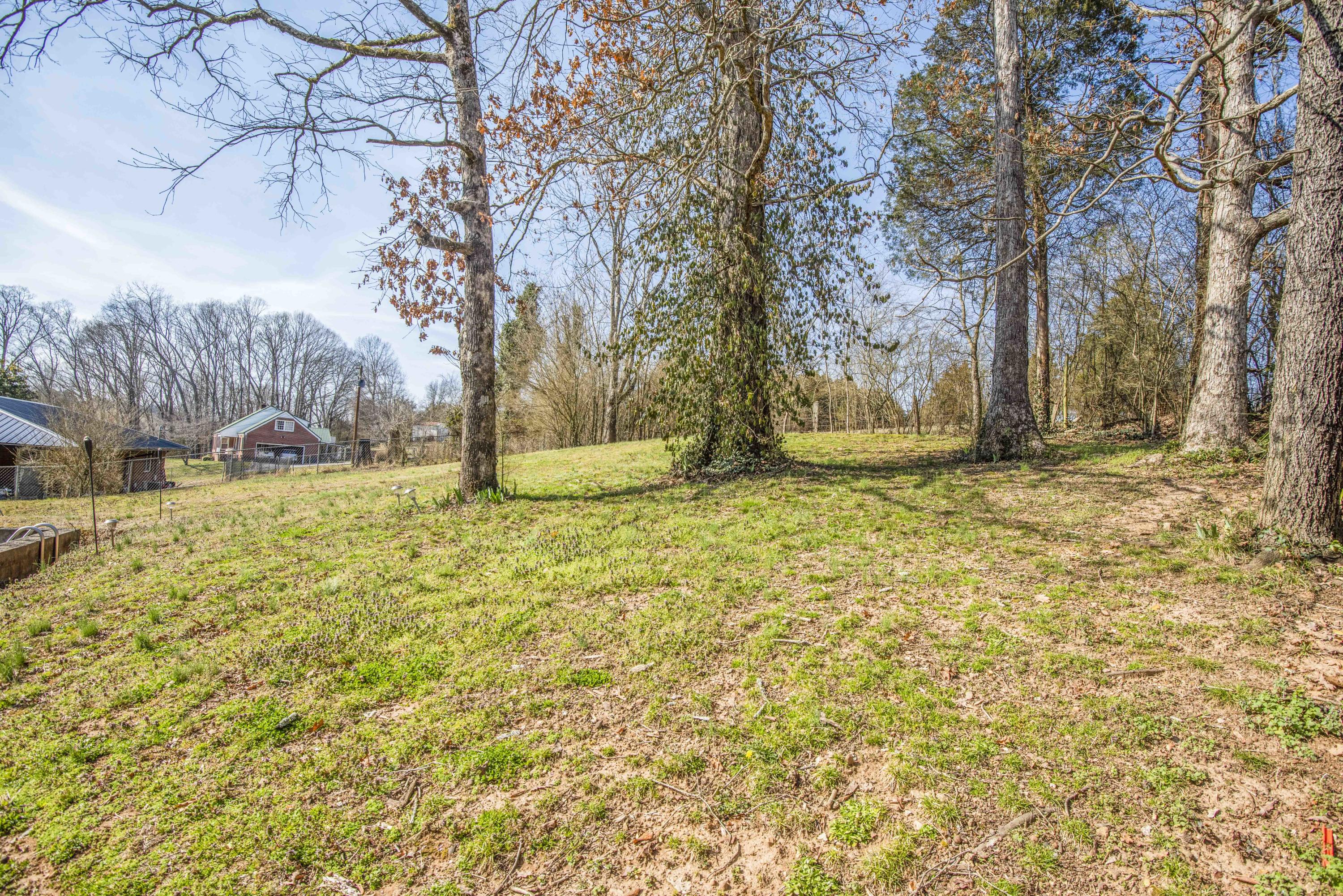 1428 Roberson Spring Road Loudon, TN 37774 - Photo 32 of 38 Back yard