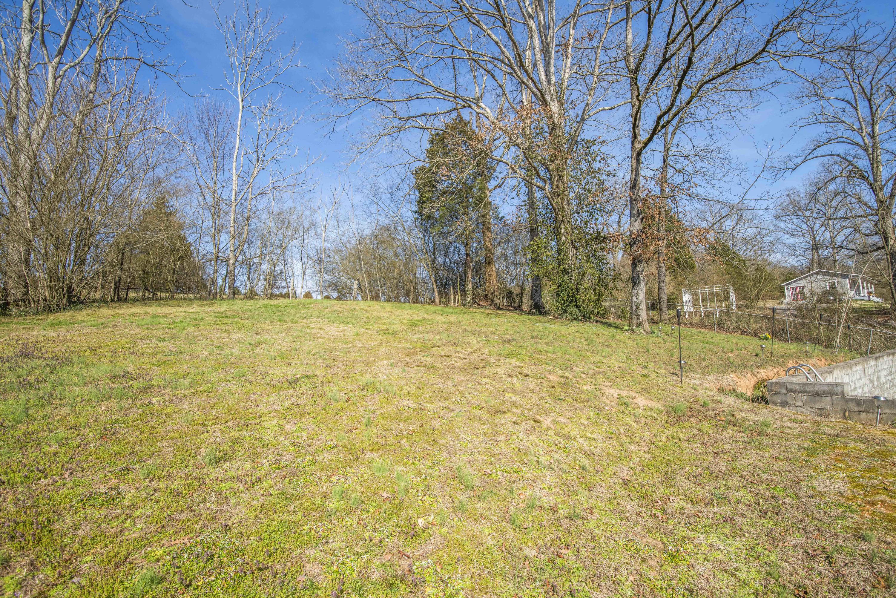 1428 Roberson Spring Road Loudon, TN 37774 - Photo 35 of 38 Back yard