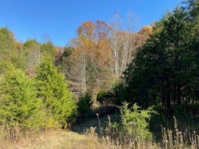 5420 Central Ridge Road Mount Olivet, KY 41064 - Photo 6 of 13