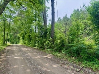 0 Les Ferrell Road Stewart, TN 37175 - Photo 1 of 4 Gallery Image 1