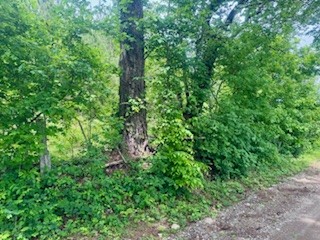 0 Les Ferrell Road Stewart, TN 37175 - Photo 2 of 4 Gallery Image 2