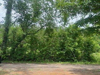 0 Les Ferrell Road Stewart, TN 37175 - Photo 3 of 4 Gallery Image 3