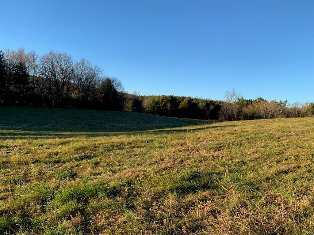 1172 Grant Houston Road Spring City, TN 37381 - Photo 8 of 8 Gallery Image 8