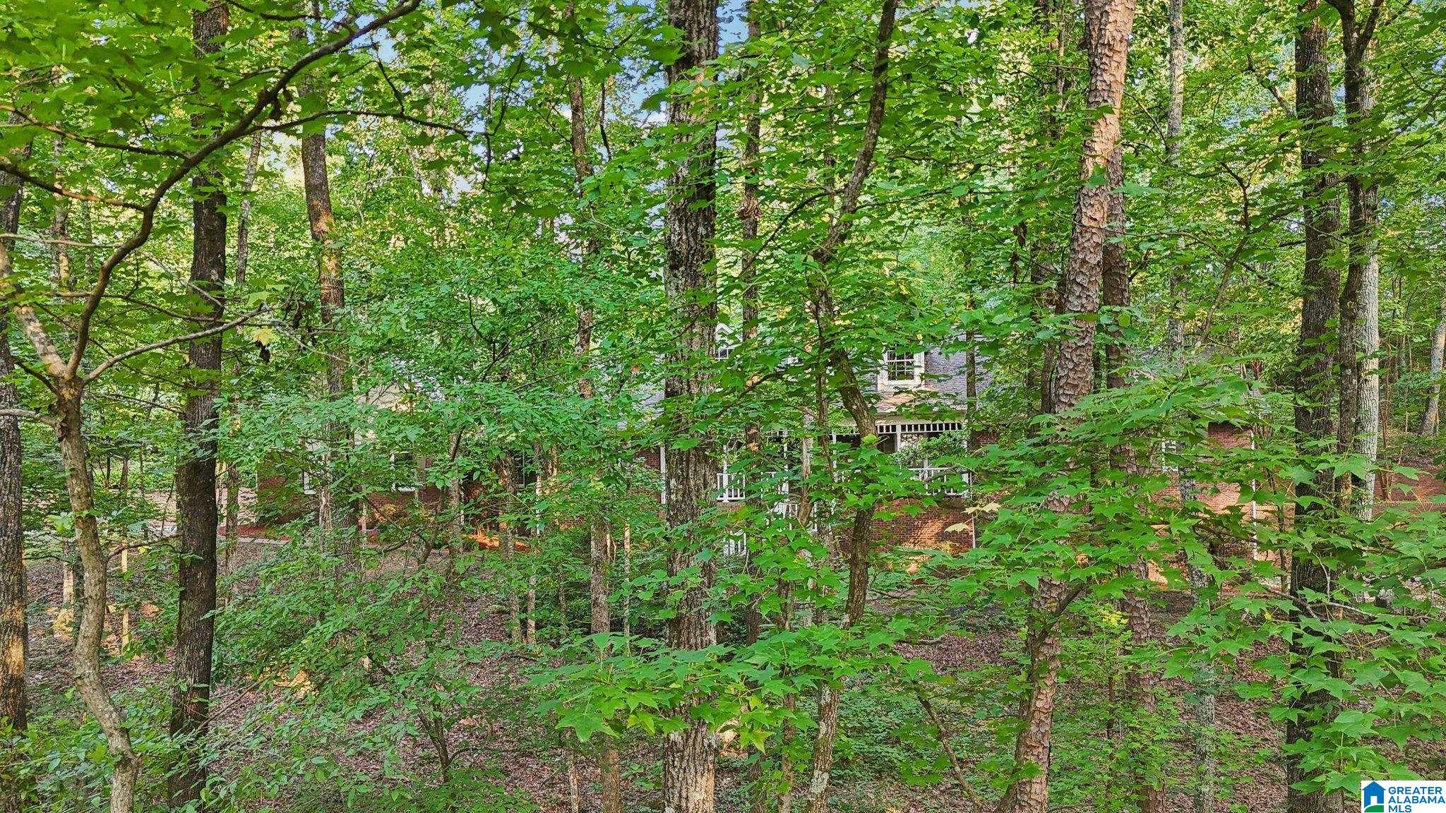 7055 Roper Road Trussville, AL 35173 - Photo 43 of 46