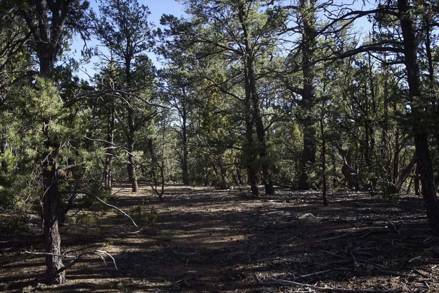 0 Pinon Ridge Road Pecos, NM 87552 - Photo 26 of 39