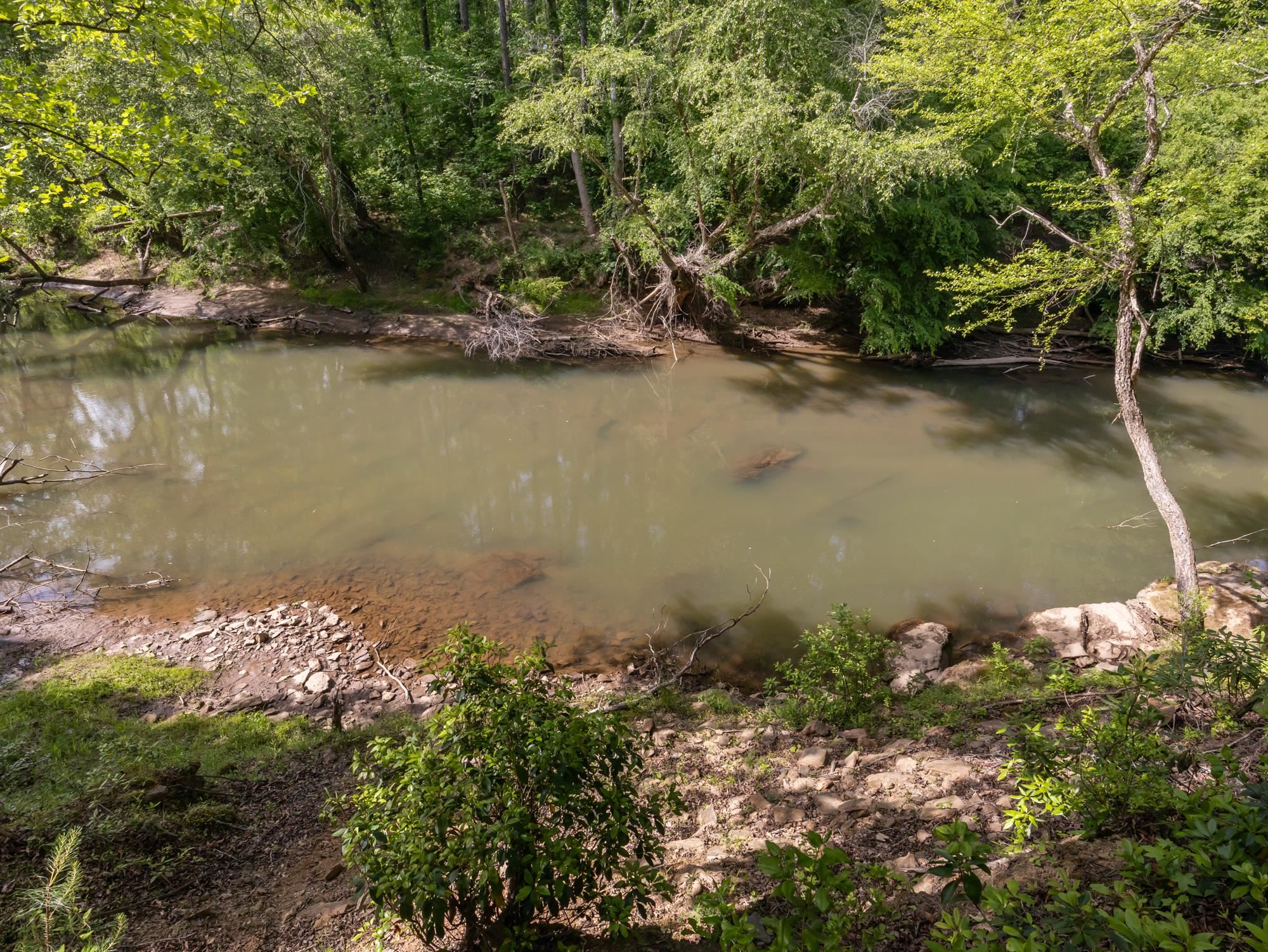 145 Riverside Drive Rutherfordton, NC 28139 - Photo 43 of 50
