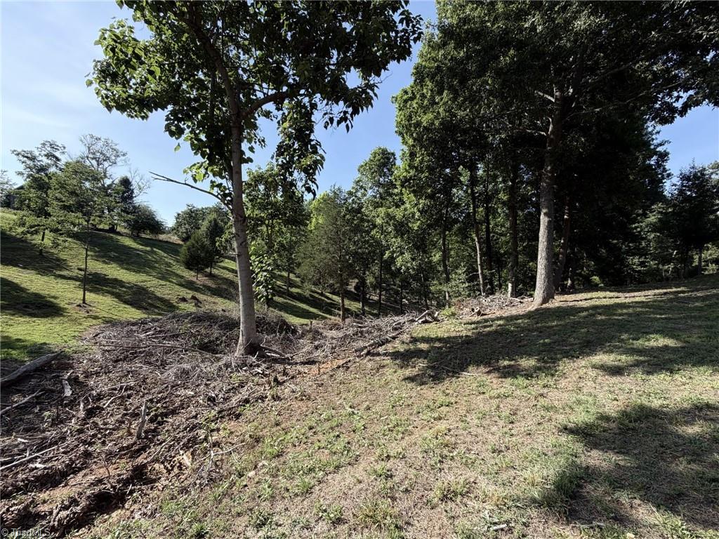 0 Stewart Road Walnut Cove, NC 27052 - Photo 6 of 17
