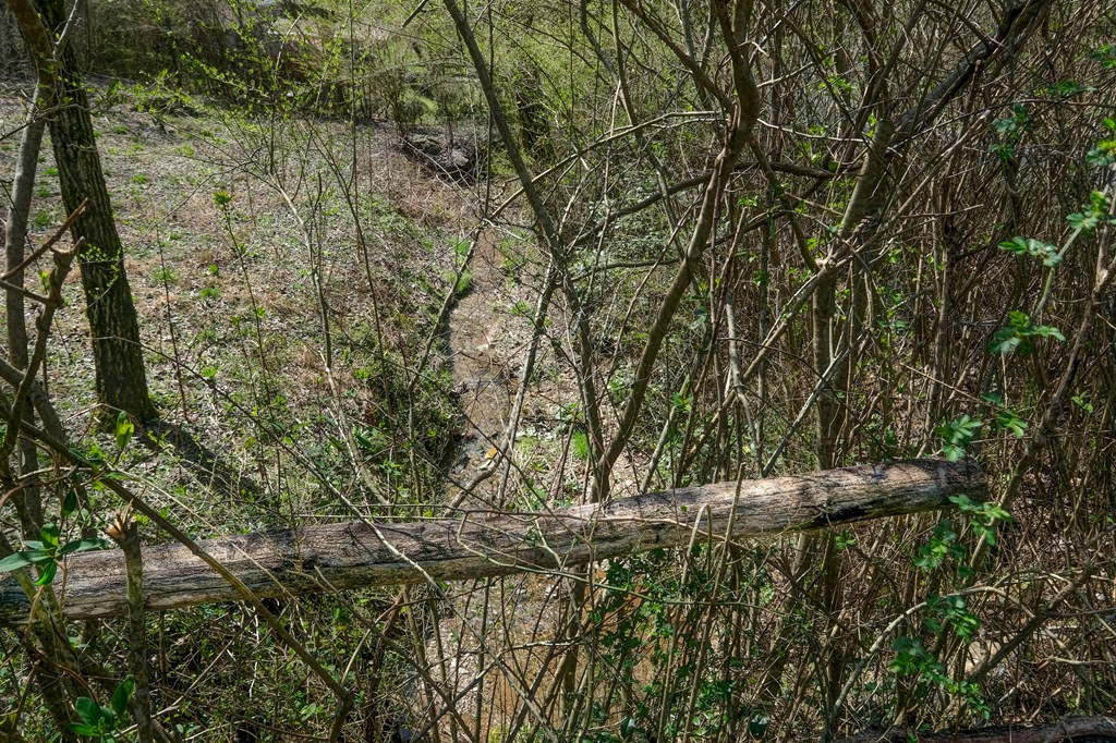 844 Canyon Road Marble, NC 28905 - Photo 60 of 61 Gallery Image 60