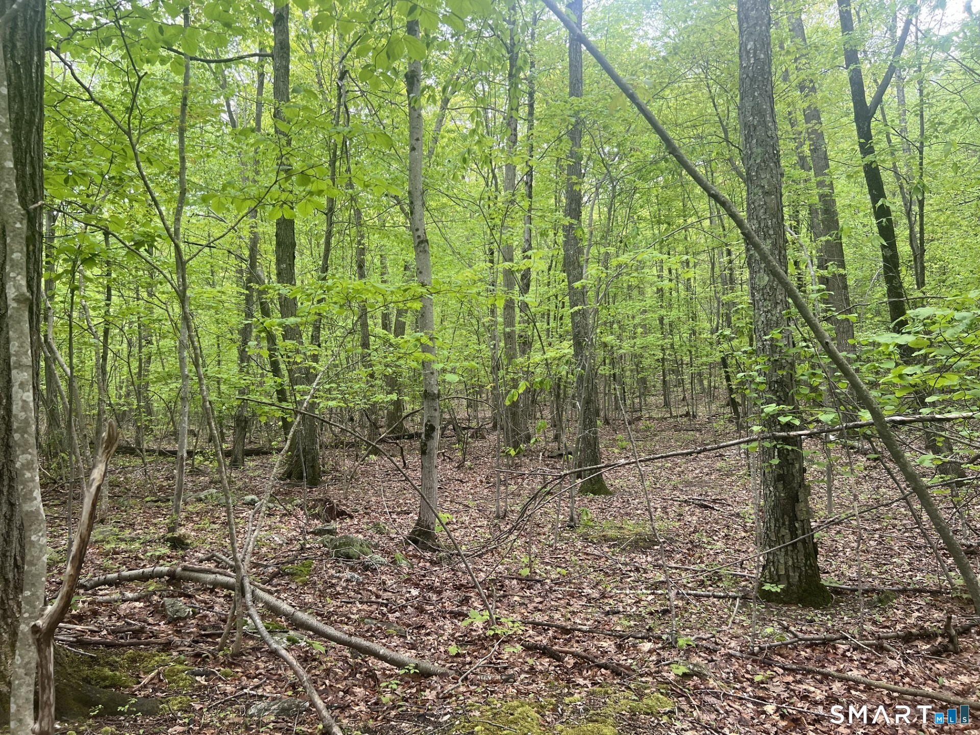 238 Old Messenger Road Granby, CT 06060 - Photo 3 of 5