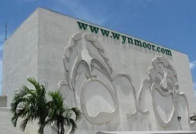 a close up of a potted plant sitting on a wall