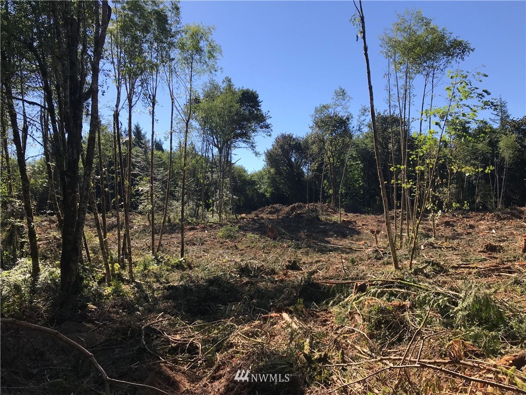 0 East Jared Road Shelton, WA 98584 - Photo 9 of 10 Gallery Image 9