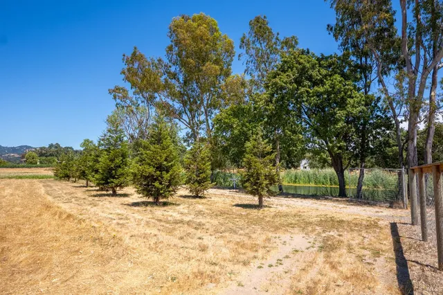 a view of outdoor space with trees