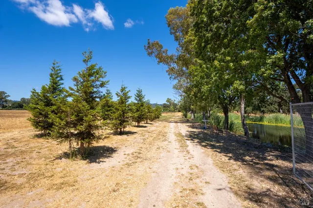 a view of a yard with trees