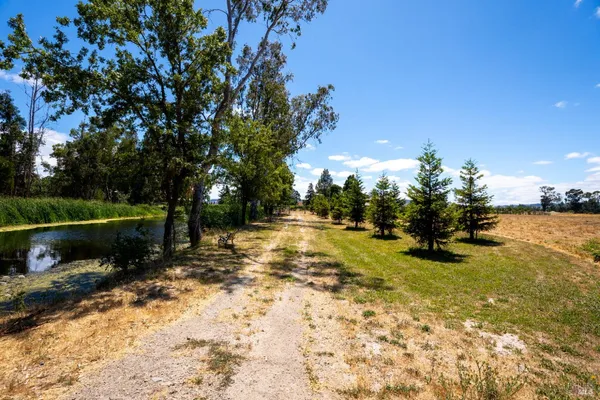 a view of a yard with swimming pool