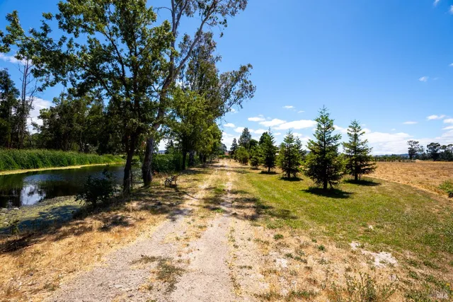 a view of a yard with swimming pool