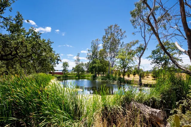 a view of a lake with a house in background