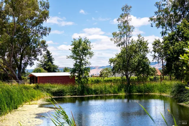 a view of a lake with a building in the background