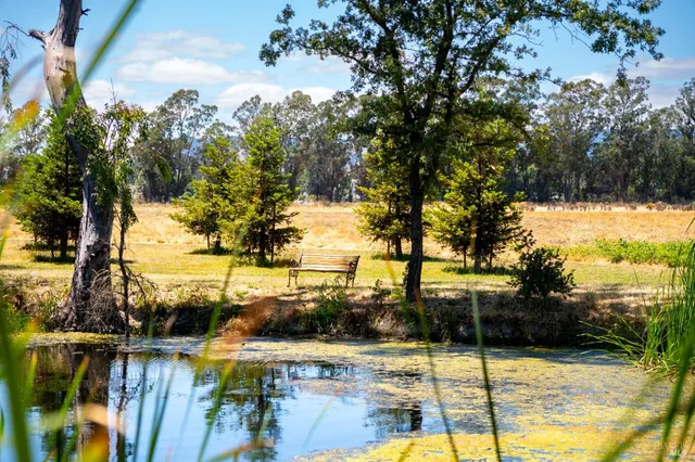 a view of a swimming pool with an ocean view