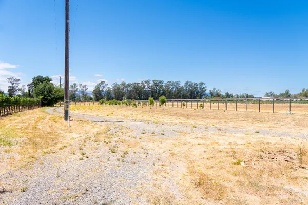 a view of a yard with a large trees