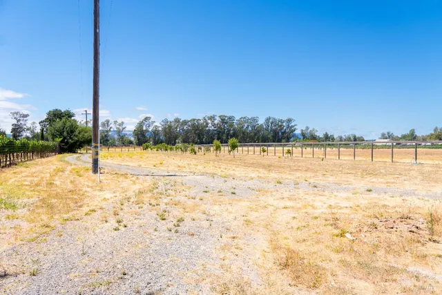 a view of a yard with a large trees