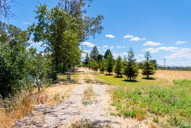 a view of a yard with a tree