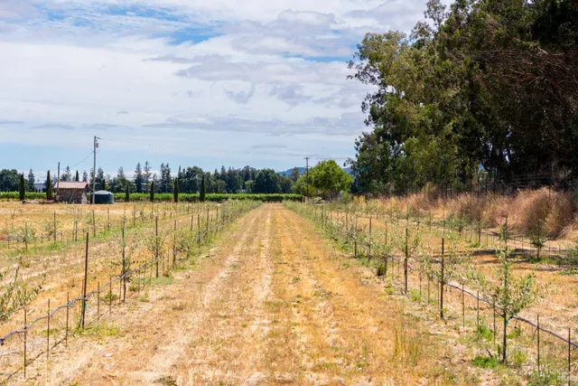a view of a lake view