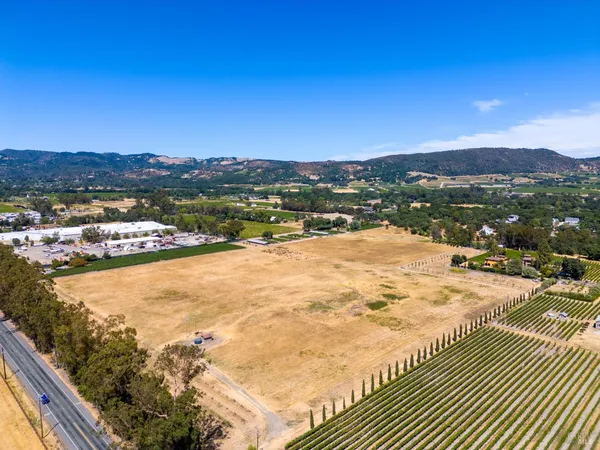 a view of a garden with a bench