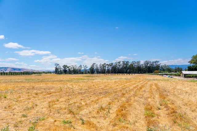 a view of an ocean and beach
