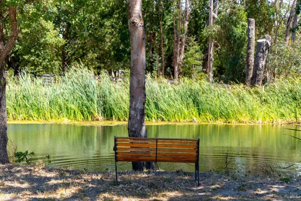 a garden view with a lake view