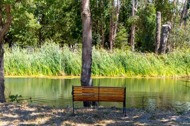 a garden view with a lake view