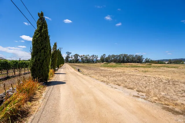 a view of a lake and a yard