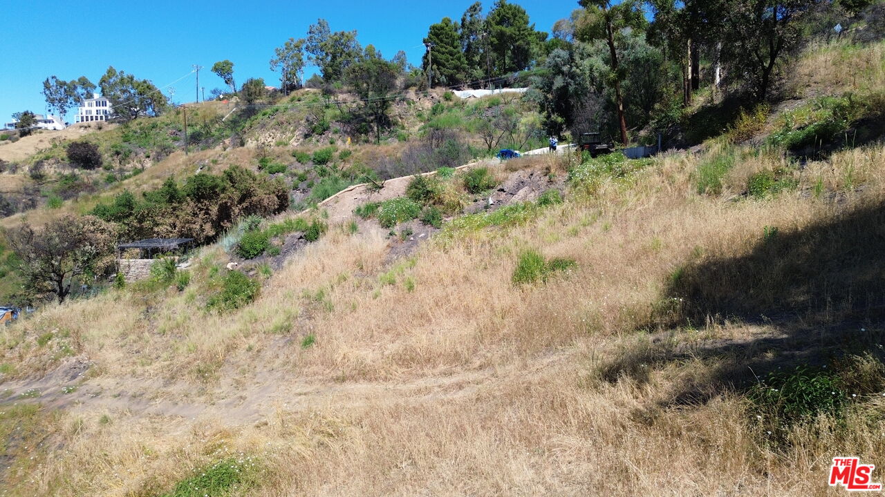 2460 Tuna Canyon Road Topanga, CA 90290 - Photo 5 of 11 a view of a yard with a tree