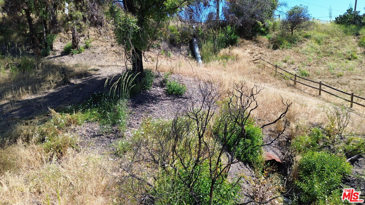 2460 Tuna Canyon Road Topanga, CA 90290 - Photo 6 of 11 a view of backyard with green space