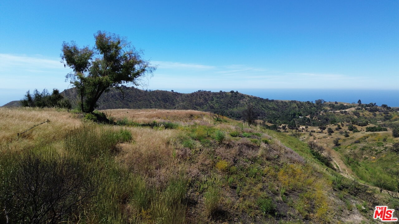 2460 Tuna Canyon Road Topanga, CA 90290 - Photo 8 of 11 a view of a lake in middle of forest