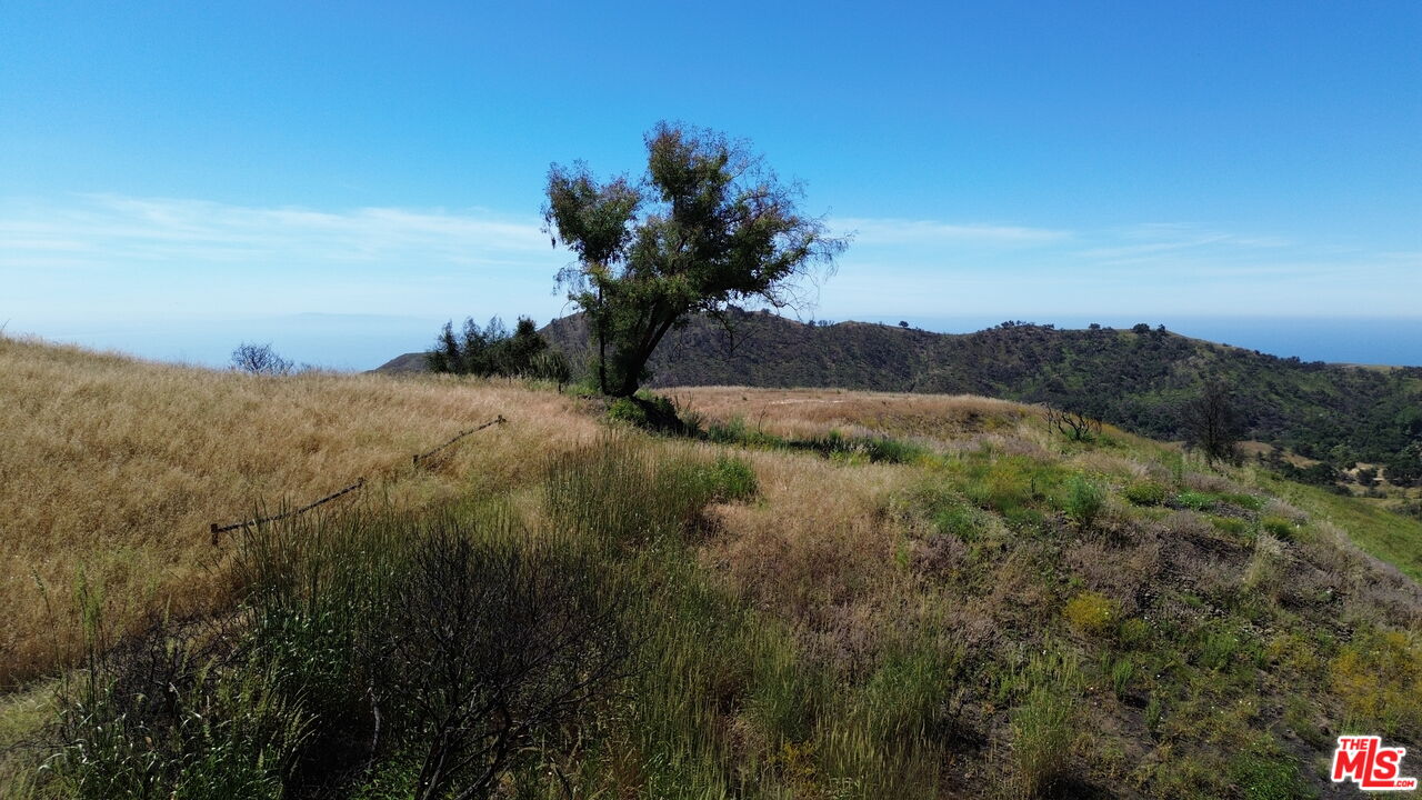 2460 Tuna Canyon Road Topanga, CA 90290 - Photo 9 of 11 a view of a lake in middle of a field