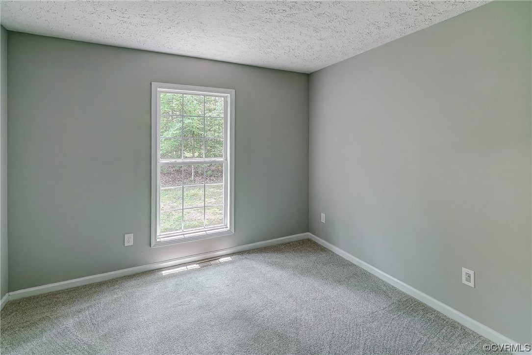 3305 Cedar Gate Road Goochland, VA 23063 - Photo 21 of 46 Gallery Image 21