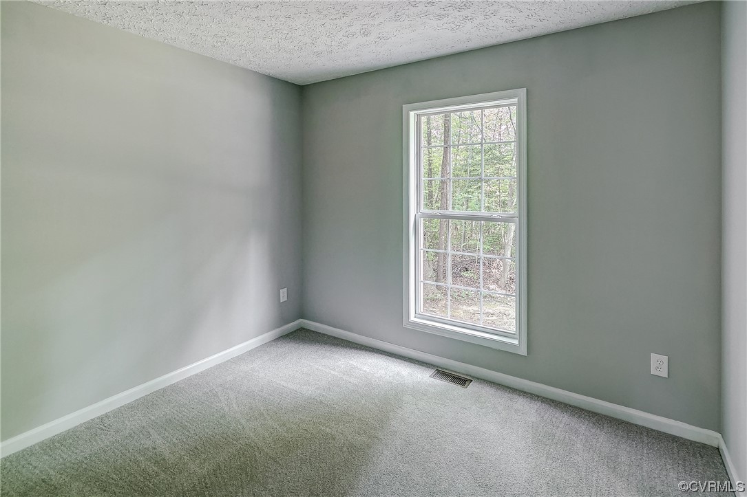 3305 Cedar Gate Road Goochland, VA 23063 - Photo 23 of 46 Gallery Image 23