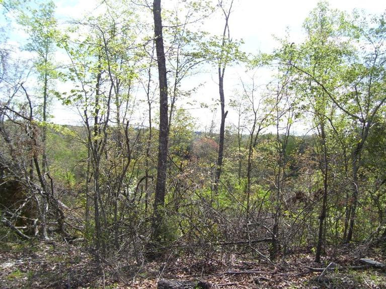 1000 Fount Hubbard Road London, KY 40741 - Photo 4 of 8 Photo 4