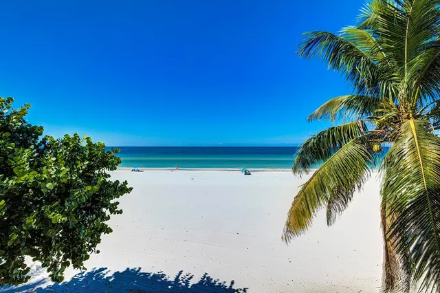 $5,000 | 17580 Gulf Boulevard, Unit 304, Redington Shores, FL 33708