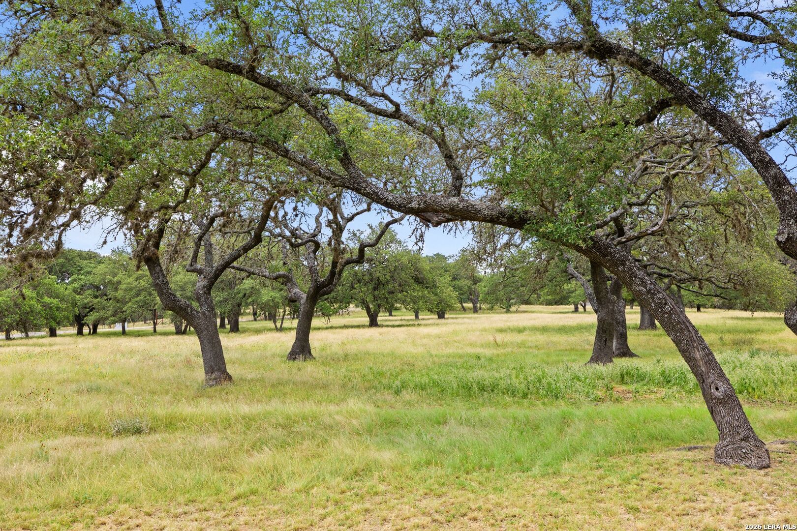 271-173 Big Creek Road Blanco, TX 78606 - Photo 46 of 75