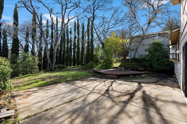 a view of backyard with plants and trees