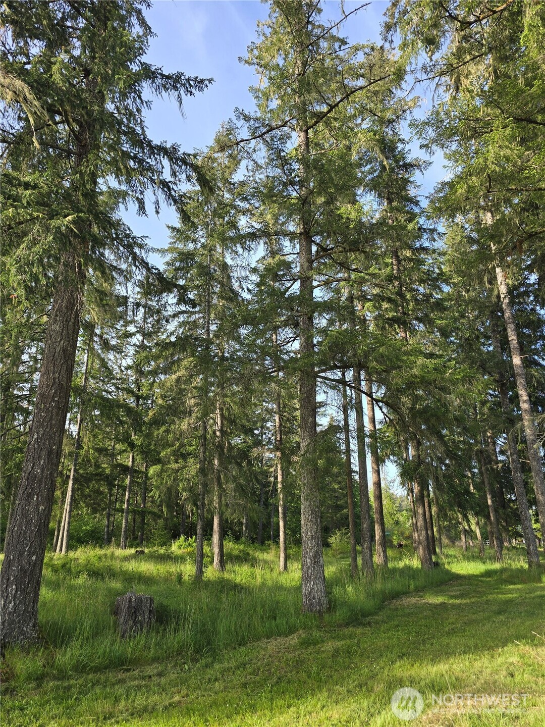 -nka East Satsop Road West Elma, WA 98541 - Photo 25 of 29