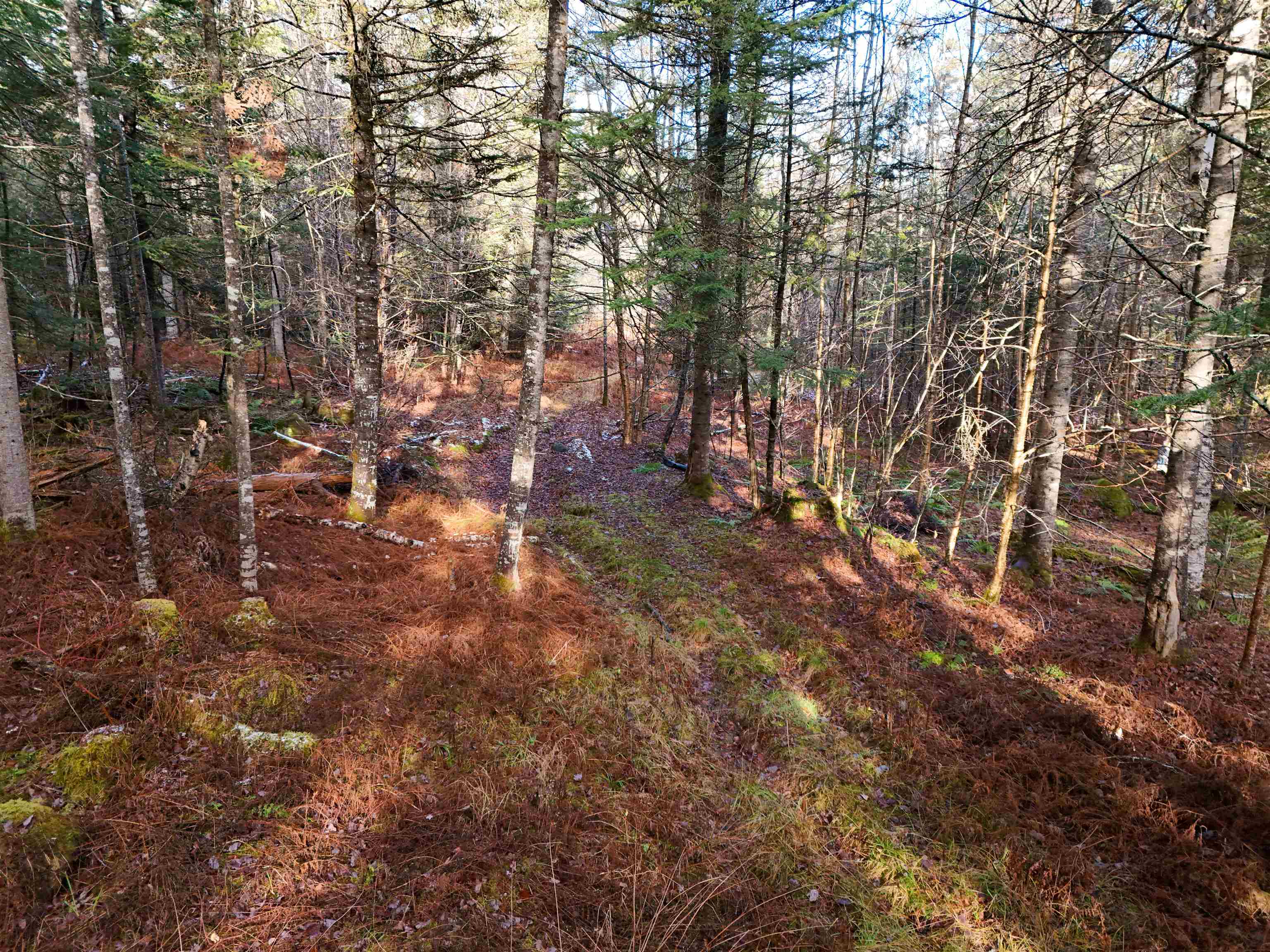 0 Powder Spring Road Groton, VT 05046 - Photo 13 of 15