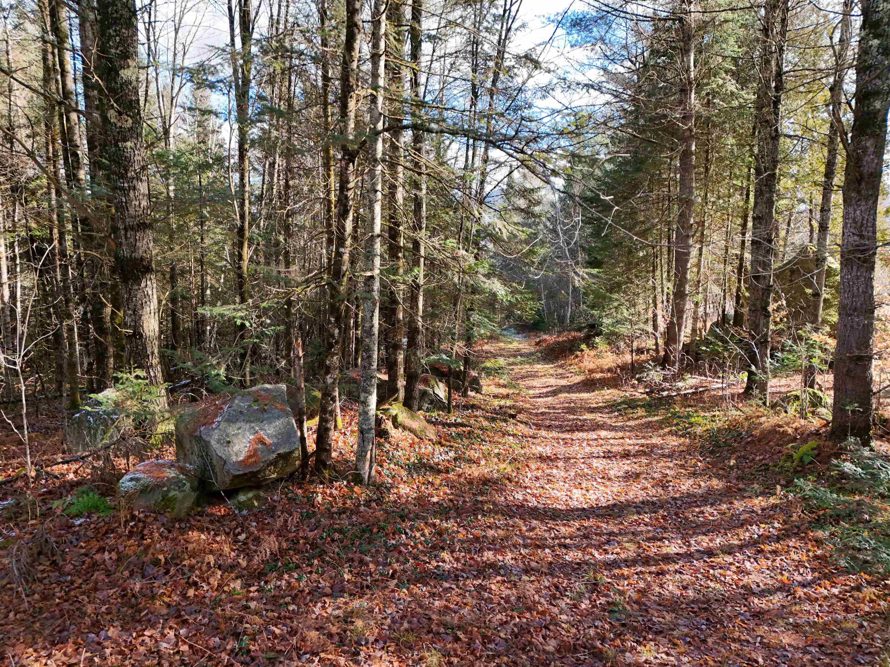 0 Powder Spring Road Groton, VT 05046 - Photo 2 of 15