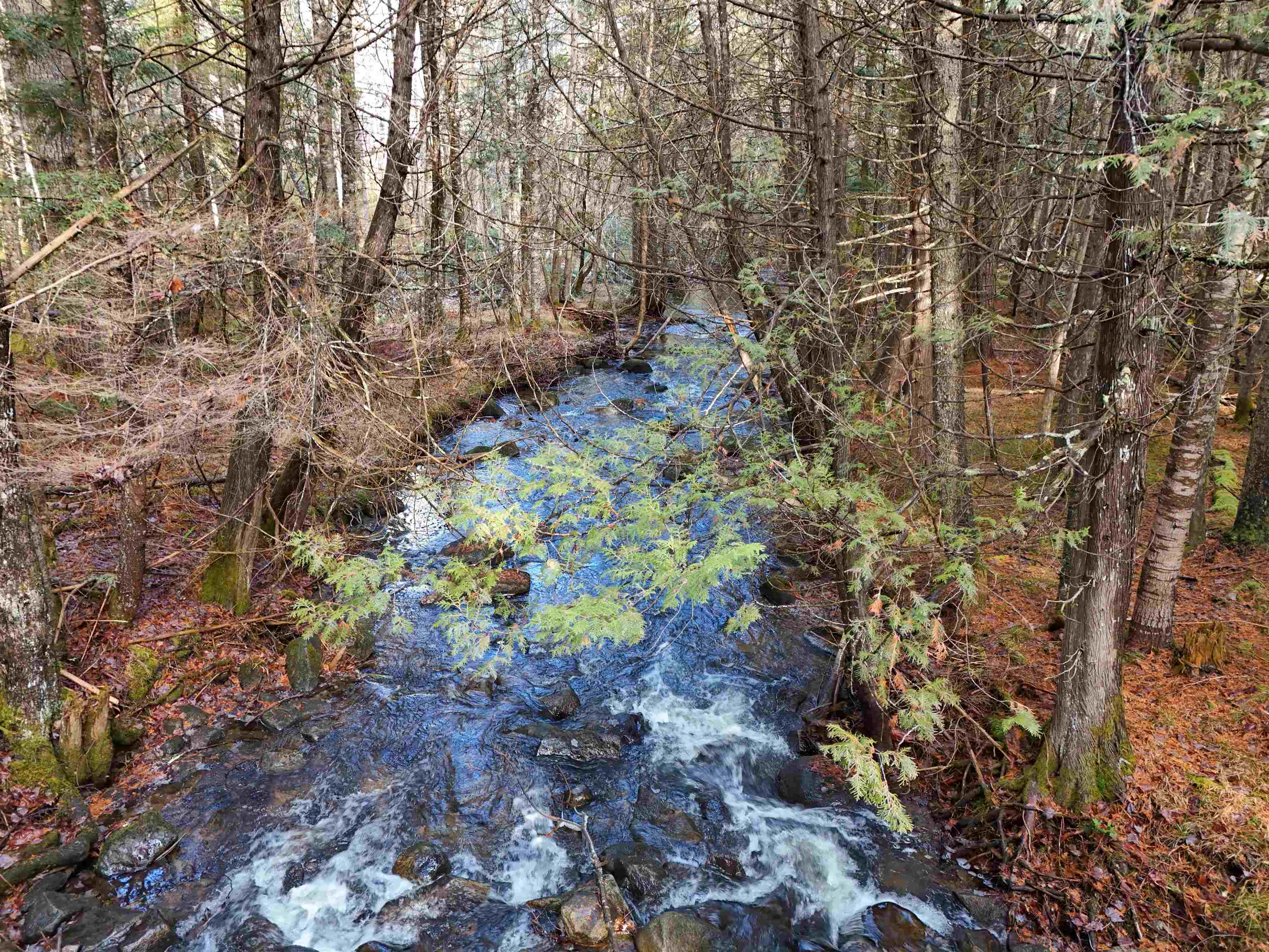 0 Powder Spring Road Groton, VT 05046 - Photo 4 of 15