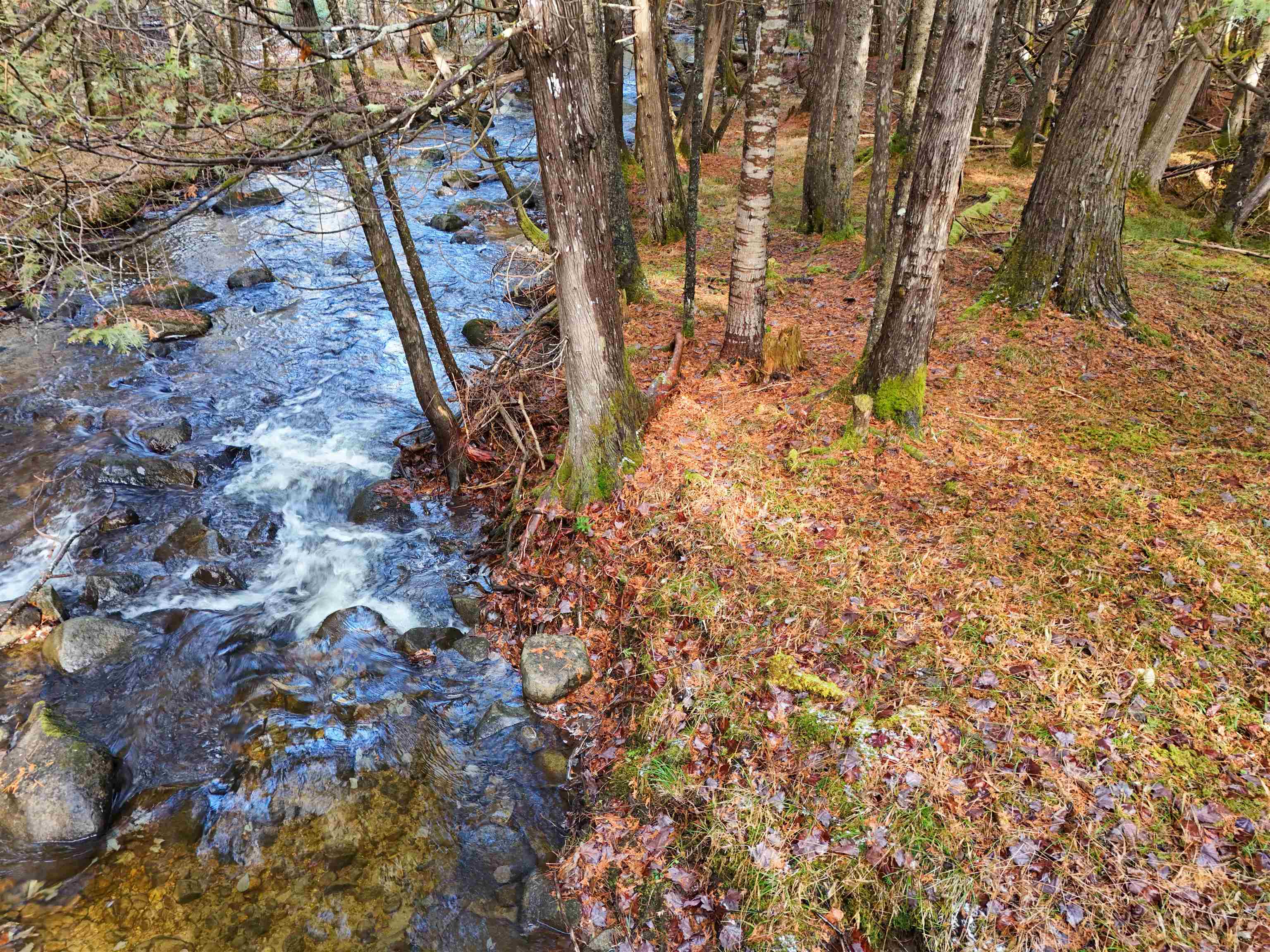 0 Powder Spring Road Groton, VT 05046 - Photo 5 of 15